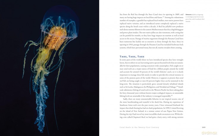 The World Beneath: The Life and Times of Unknown Sea Creatures and Coral Reefs - Dr. Richard Smith [KSIĄŻKA]