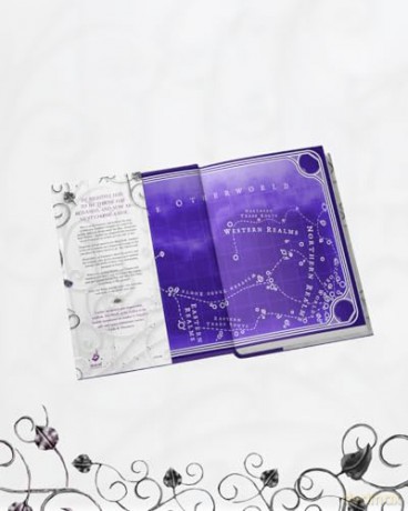 The Wrath of the Fallen: The spicy and epic dark romantasy TikTok must-read and instant New York Times bestseller! (Gods and Monsters) - Amber V. Nicole [KSIĄŻKA]