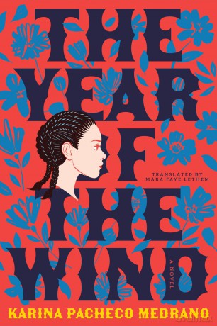 The Year of the Wind: A Novel - Karina Pacheco Medrano [KSIĄŻKA]