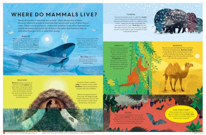 There are Mammals Everywhere - Camilla De La Bedoyere [KSIĄŻKA]