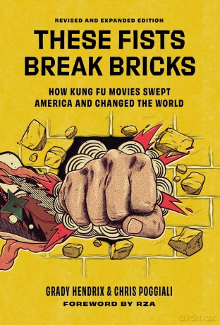 These Fists Break Bricks (Revised and Expanded Edition): How Kung Fu Movies Swept America and Changed the World - Chris Poggiali [KSIĄŻKA]