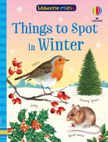 Things to Spot in Winter (Usborne Minis) - Simon Tudhope [KSIĄŻKA]