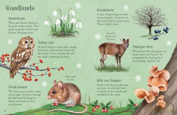 Things to Spot in Winter (Usborne Minis) - Simon Tudhope [KSIĄŻKA]