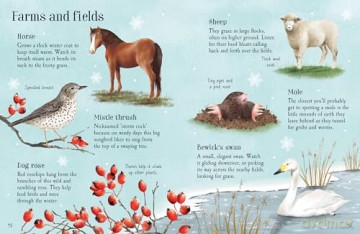 Things to Spot in Winter (Usborne Minis) - Simon Tudhope [KSIĄŻKA]