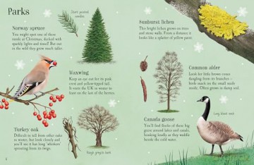 Things to Spot in Winter (Usborne Minis) - Simon Tudhope [KSIĄŻKA]