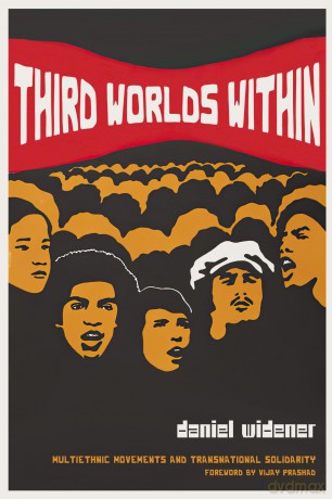 Third Worlds Within: Multiethnic Movements and Transnational Solidarity - Daniel Widener [KSIĄŻKA]
