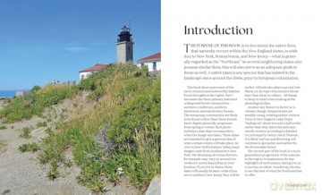 Through the Seasons: A Botanical Odyssey of the Native Plants of the Northeast - Michael Adamovic [KSIĄŻKA]