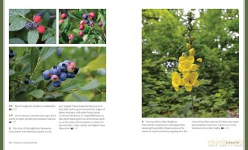 Through the Seasons: A Botanical Odyssey of the Native Plants of the Northeast - Michael Adamovic [KSIĄŻKA]