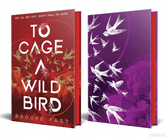 To Cage a Wild Bird: The hottest slow-burn enemies-to-lovers dystopian fantasy romance and instant SUNDAY TIMES bestseller - Brooke Fast [KSIĄŻKA]