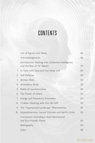 Transdimensional Mind: The Higher Self's Potential for Protection, Precognition, and Guidance - Chris H. Hardy Ph.D. [KSIĄŻKA]