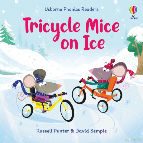 Tricycle Mice on Ice (Phonics Readers) - Russell Punter [KSIĄŻKA]