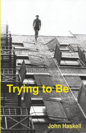 Trying to Be: A Collection (Fiction Collective 2) - John Haskell [KSIĄŻKA]