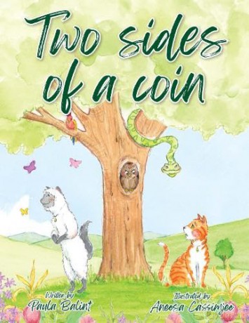 Two Sides of a Coin - Paula Balint [KSIĄŻKA]