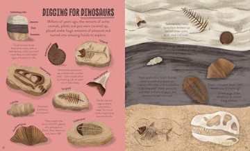 Under the Ground: Seek, find and celebrate nature's treasures with the Natural History Museum (My Nature Collection) - Cameron Menzies [KSIĄŻKA]