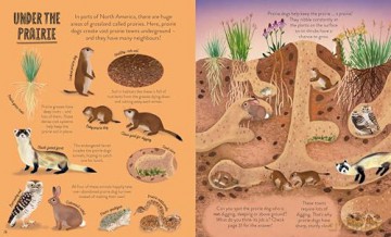 Under the Ground: Seek, find and celebrate nature's treasures with the Natural History Museum (My Nature Collection) - Cameron Menzies [KSIĄŻKA]