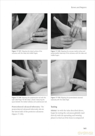 Unwinding Bone: A Complete Guide to Biodynamic Skeletal Therapy for Myofascial and Manual Therapists - Scott Sternthal [KSIĄŻKA]
