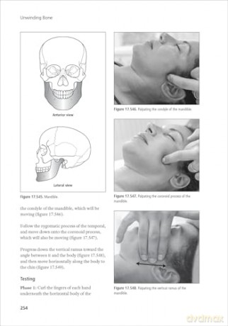 Unwinding Bone: A Complete Guide to Biodynamic Skeletal Therapy for Myofascial and Manual Therapists - Scott Sternthal [KSIĄŻKA]