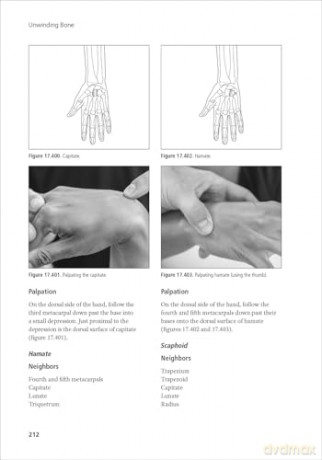 Unwinding Bone: A Complete Guide to Biodynamic Skeletal Therapy for Myofascial and Manual Therapists - Scott Sternthal [KSIĄŻKA]