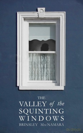 Valley of the Squinting Windows - Brinsley MacNamara [KSIĄŻKA]