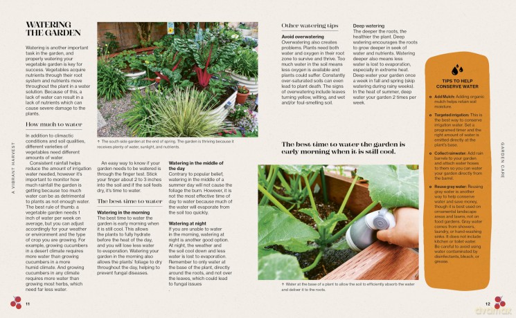 Vibrant Harvest: Cultivating a Kaleidoscope of Colors in Your Vegetable Garden with Heirlooms, Modern Hybrids, and More - Sandra Mao [KSIĄŻKA]