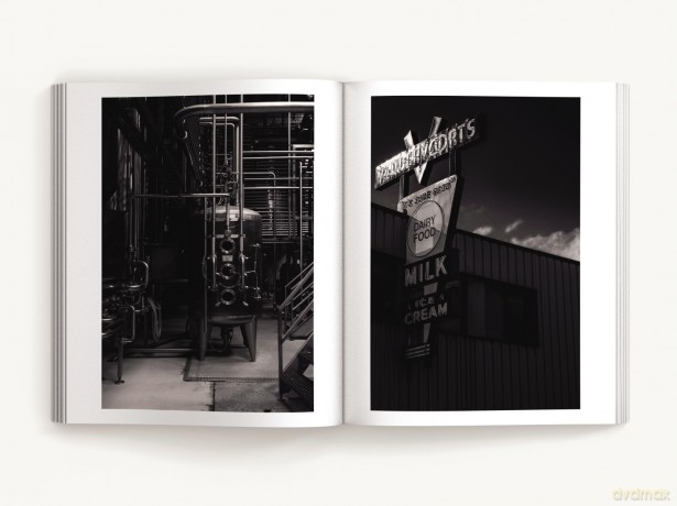 Visually Speaking: Mastering Photography as a Visual Language - Ted Forbes [KSIĄŻKA]