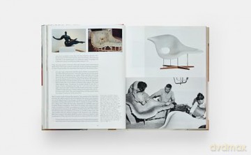 Vitra: The Anatomy of a Design Company - Deyan Sudjic [KSIĄŻKA]