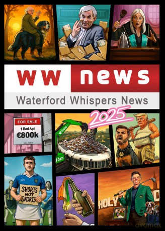 Waterford Whispers News 2025 - Colm Williamson [KSIĄŻKA]