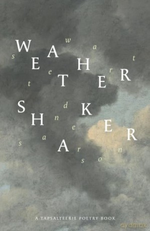 Weathershaker - Stewart Sanderson [KSIĄŻKA]