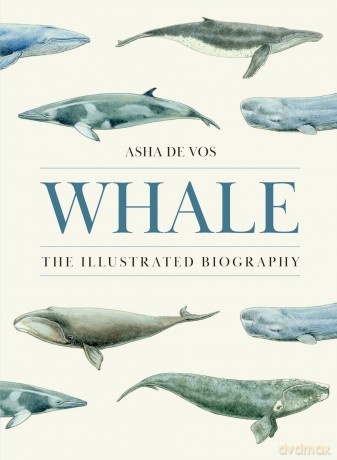 Whale: The Illustrated Biography - Asha de Vos [KSIĄŻKA]
