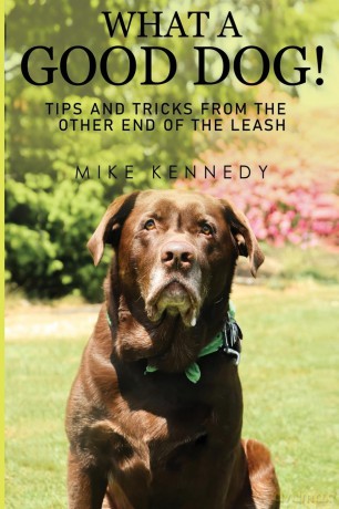 What a Good Dog! Tips and Tricks from the Other End of the Leash. - Mike Kennedy [KSIĄŻKA]