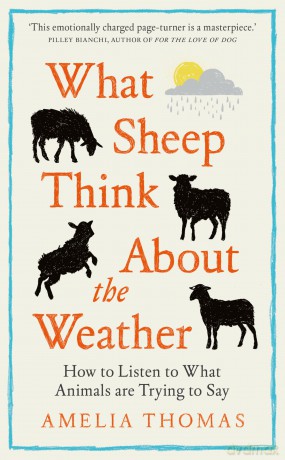 What Sheep Think About the Weather: How to listen to what animals are trying to say - The perfect read for any animal lover - Amelia Thomas [KSIĄŻKA]