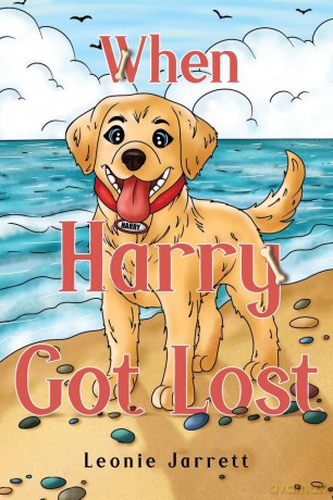 When Harry Got Lost - Leonie Jarrett [KSIĄŻKA]
