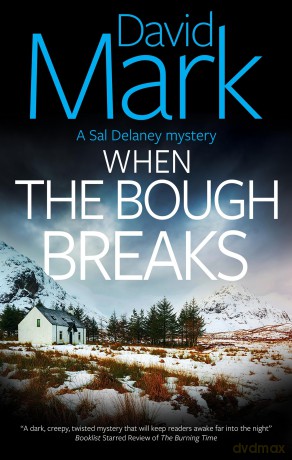 When the Bough Breaks (A Sal Delaney Mystery) - David Mark [KSIĄŻKA]