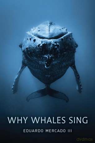 Why Whales Sing - Eduardo Mercado [KSIĄŻKA]