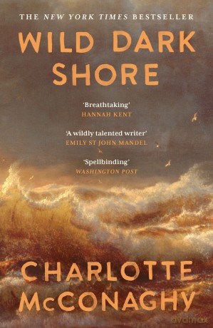 Wild Dark Shore: The internationally bestselling word-of-mouth sensation - Charlotte McConaghy [KSIĄŻKA]