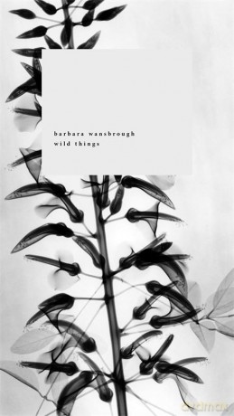 Wild Things: A Geography of Grief - Barbara Wansbrough [KSIĄŻKA]