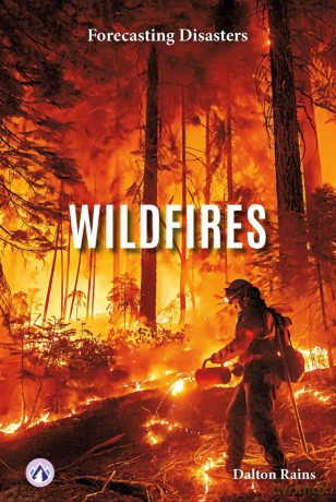 Wildfires (Forecasting Disasters) - Dalton Rains [KSIĄŻKA]