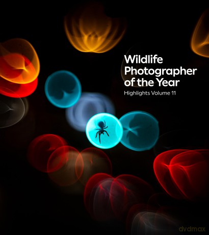 Wildlife Photographer of the Year: Highlights volume 11 - The Natural History Museum [KSIĄŻKA]