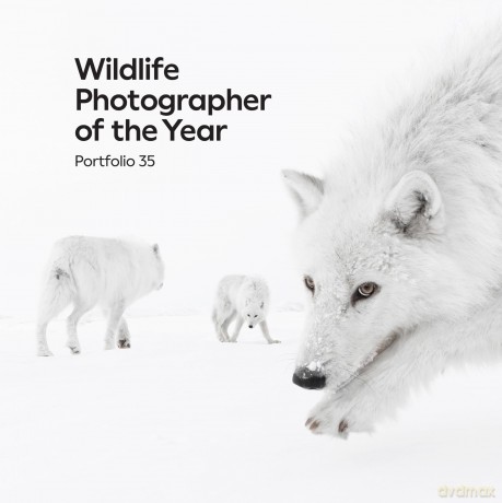 Wildlife Photographer of the Year: Portfolio 35: Volume 35 - editor Keith Wison [KSIĄŻKA]