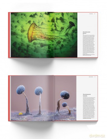 Wildlife Photographer of the Year: Portfolio 35: Volume 35 - editor Keith Wison [KSIĄŻKA]