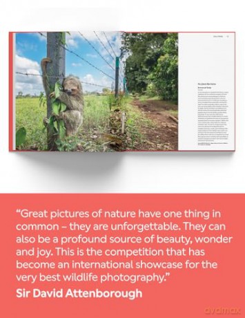 Wildlife Photographer of the Year: Portfolio 35: Volume 35 - editor Keith Wison [KSIĄŻKA]