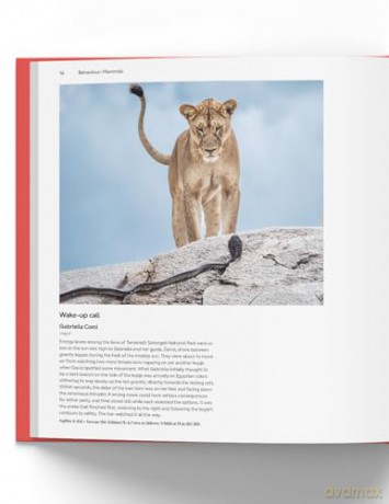 Wildlife Photographer of the Year: Portfolio 35: Volume 35 - editor Keith Wison [KSIĄŻKA]