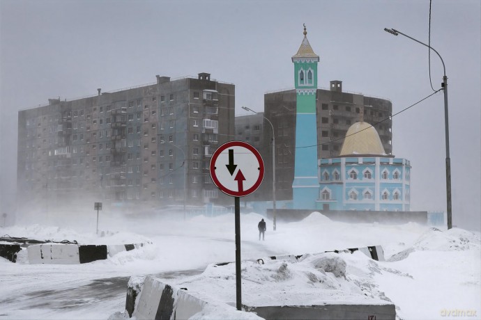 Winterland: The Colors of Snow - Christophe Jacrot [KSIĄŻKA]