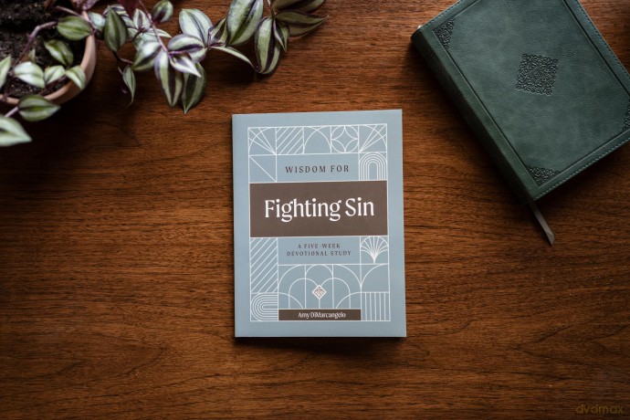 Wisdom for Fighting Sin - Amy DiMarcangelo [KSIĄŻKA]
