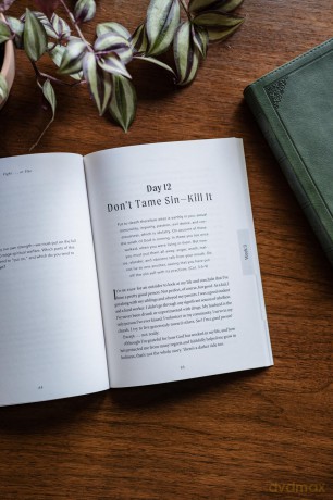 Wisdom for Fighting Sin - Amy DiMarcangelo [KSIĄŻKA]