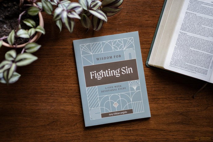 Wisdom for Fighting Sin - Amy DiMarcangelo [KSIĄŻKA]