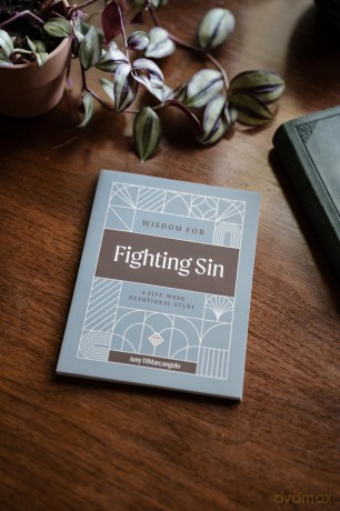 Wisdom for Fighting Sin - Amy DiMarcangelo [KSIĄŻKA]