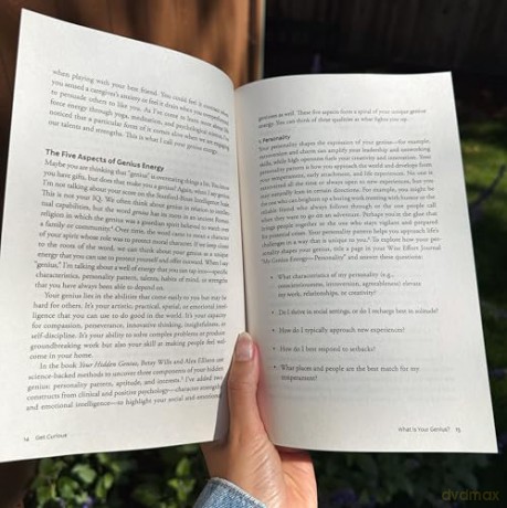 Wise Effort: How to Focus Your Genius Energy on What Matters Most - Diana Hill PhD [KSIĄŻKA]