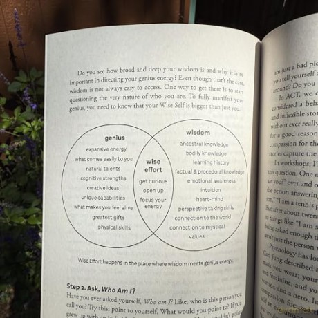 Wise Effort: How to Focus Your Genius Energy on What Matters Most - Diana Hill PhD [KSIĄŻKA]