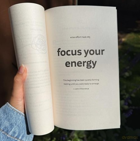 Wise Effort: How to Focus Your Genius Energy on What Matters Most - Diana Hill PhD [KSIĄŻKA]